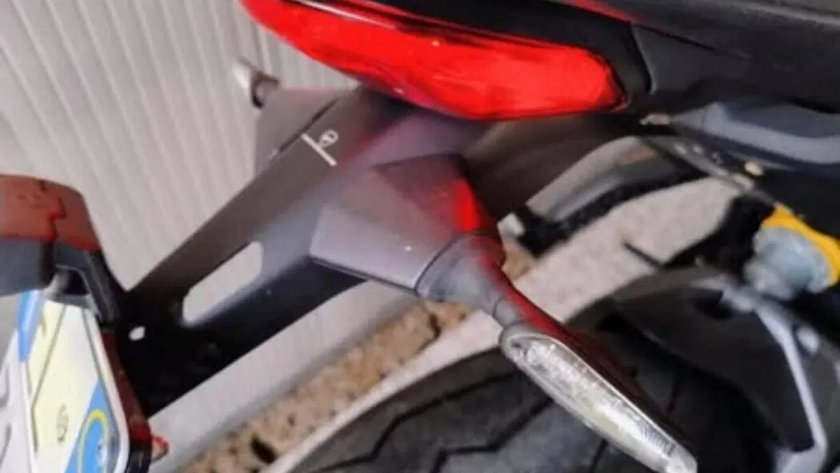 Ducati Monster 821 (2018 - 20)  (7)