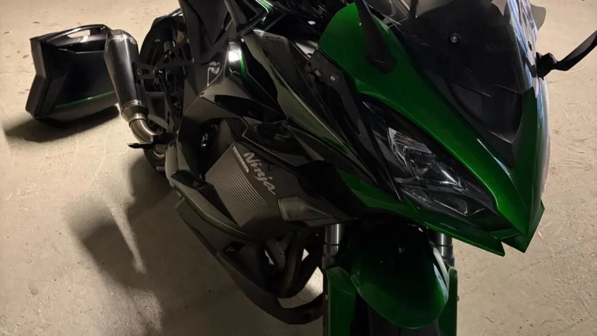 Kawasaki Ninja 1000 SX (2021 - 24)  (5)