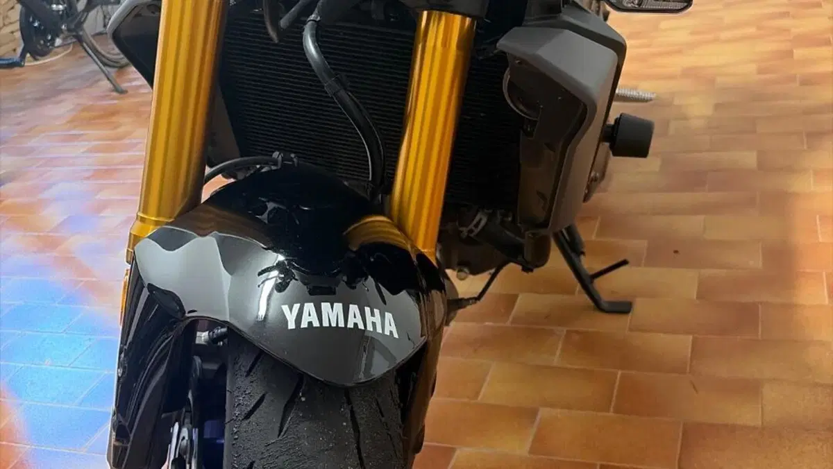 Yamaha MT-09 SP (2024 - 26)  (6)