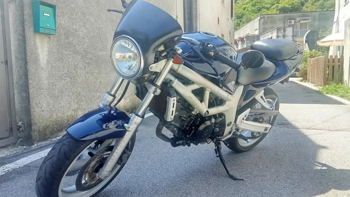 Suzuki SV 650 (1999 - 02)  (3)