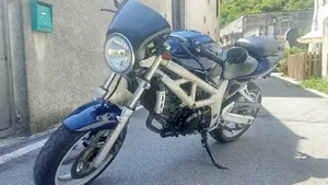 Suzuki SV 650 (1999 - 02)  (3)
