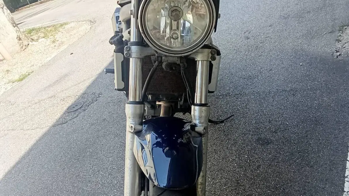 Suzuki SV 650 (1999 - 02)  (4)
