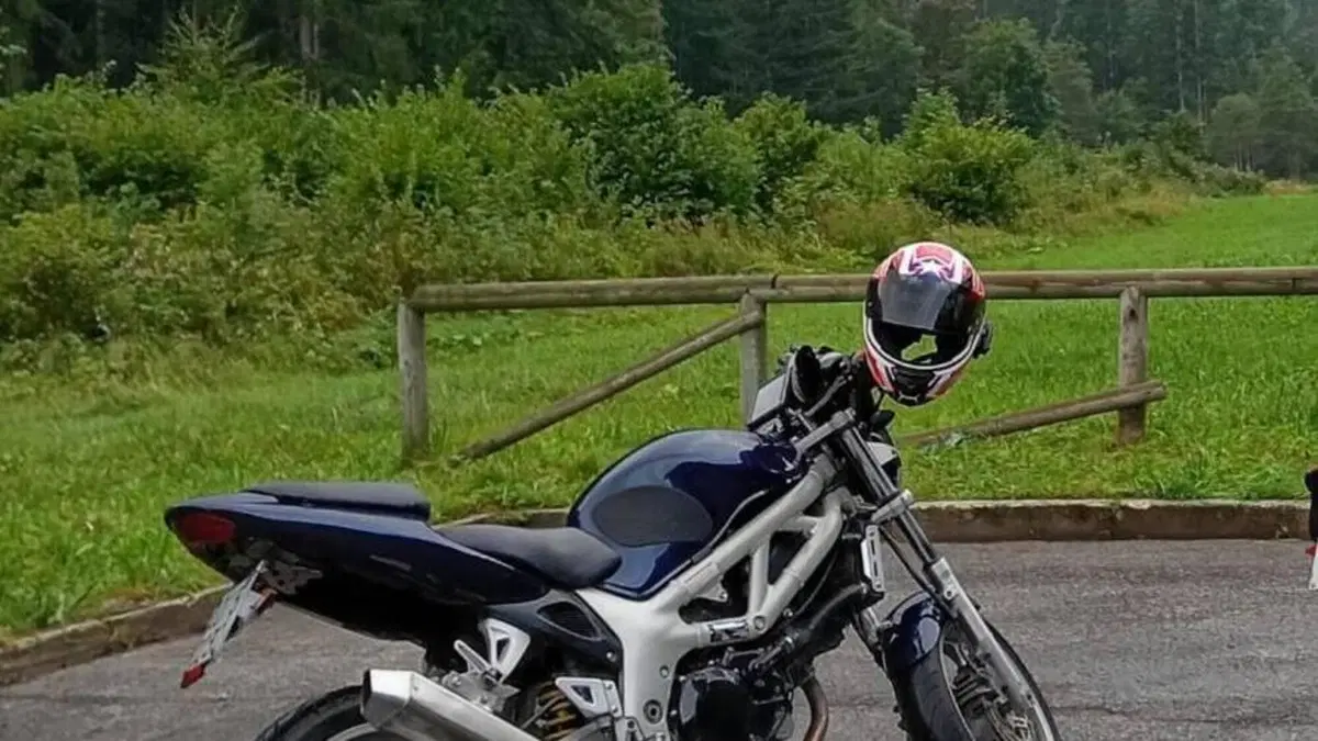 Suzuki SV 650 (1999 - 02)  (6)