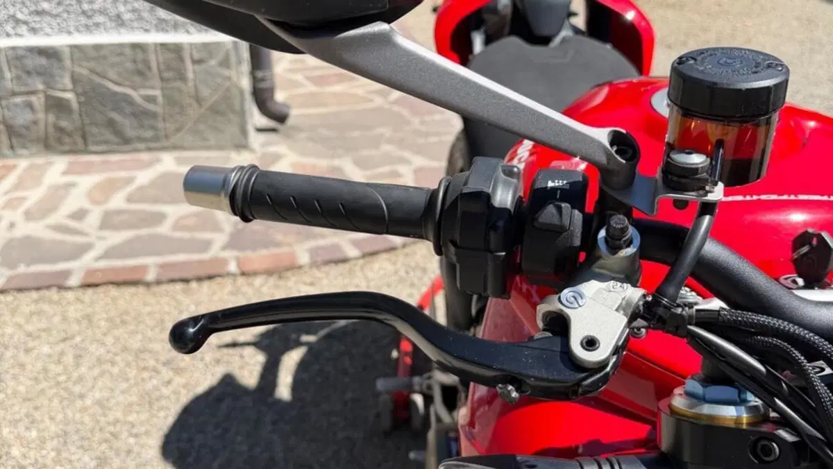 Ducati Streetfighter V4 1100 S (2021 - 22)  (7)