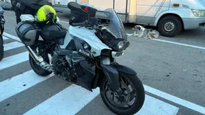 Bmw K 1300 R (2009 - 16)  (7)