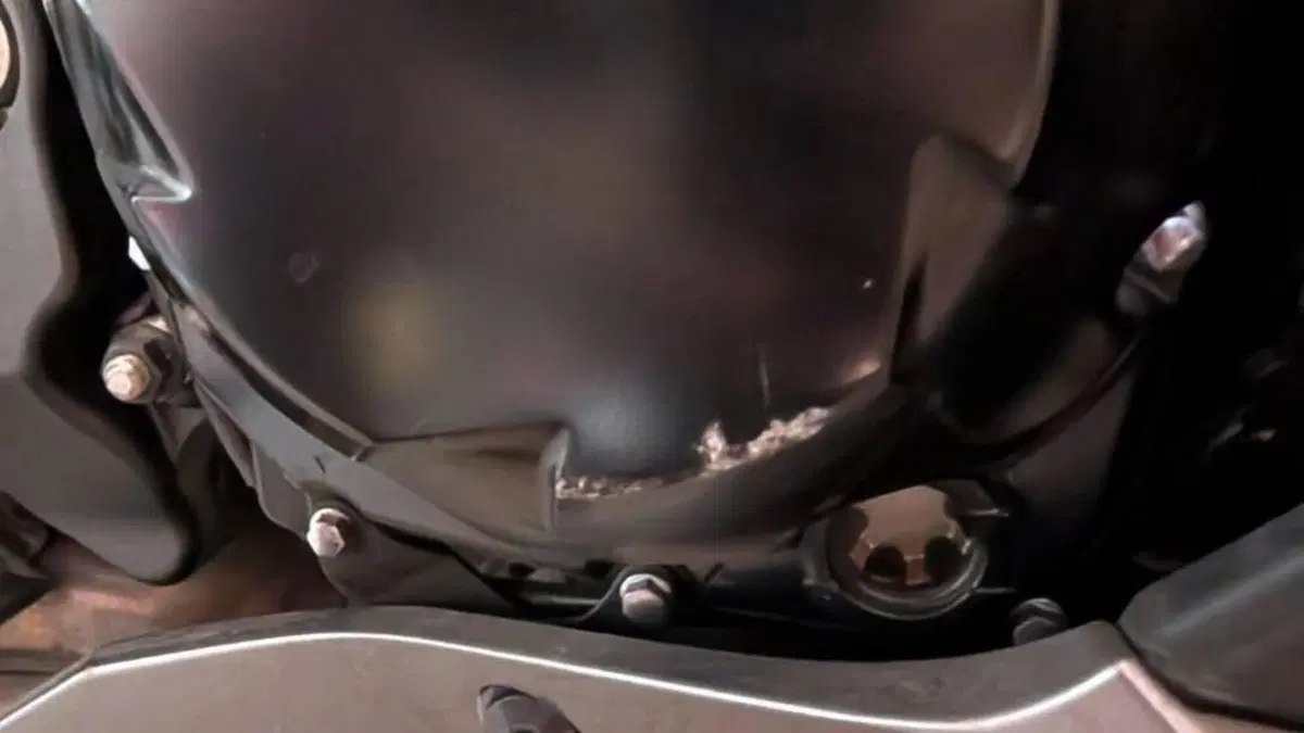 Kawasaki Ninja 1000 SX (2020)  (9)