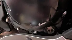 Kawasaki Ninja 1000 SX (2020)  (9)