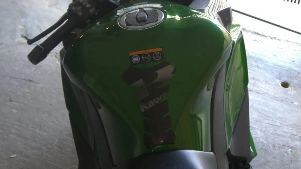 Kawasaki Ninja 1000 SX (2020)  (6)