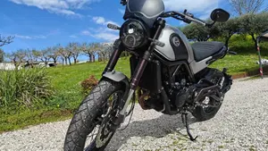 Benelli Leoncino 500 Trail (2021 - 26)  (6)