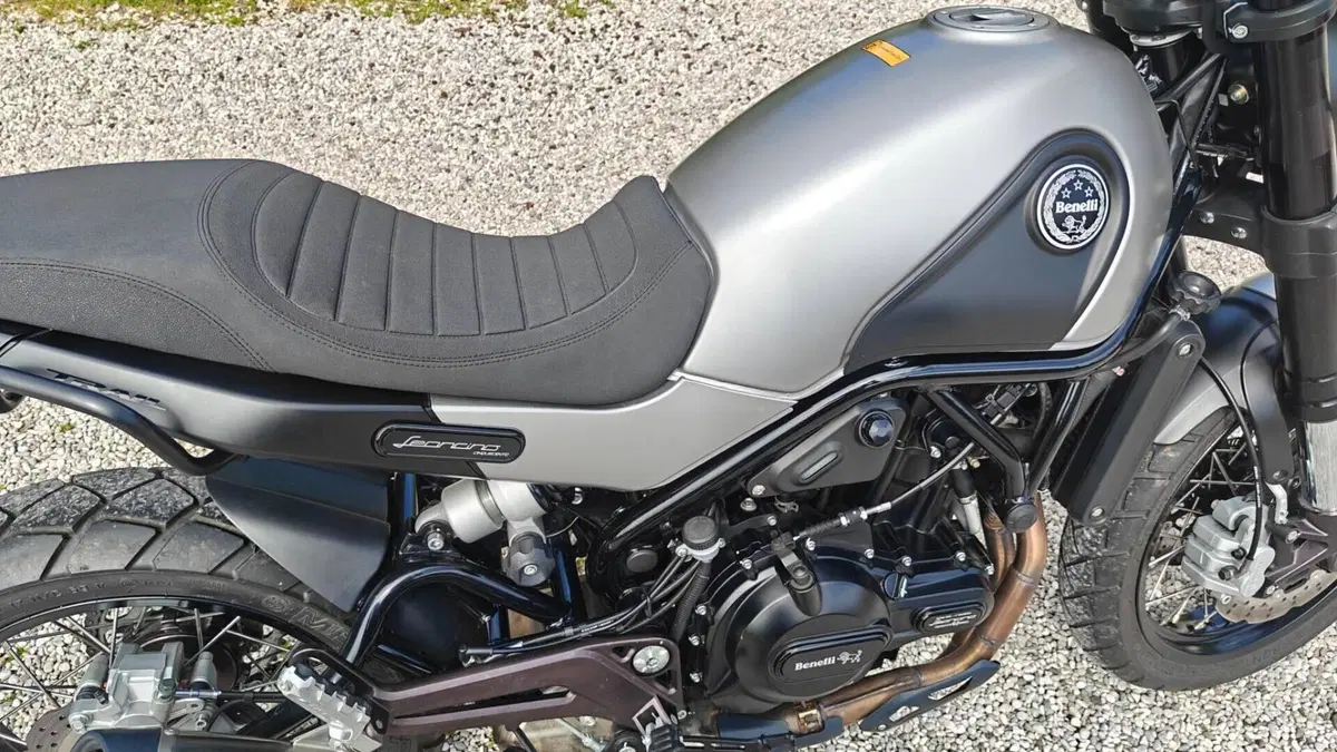 Benelli Leoncino 500 Trail (2021 - 26)  (5)
