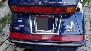 Honda GL 1500 SE Gold Wing (1991 - 02)  (2)