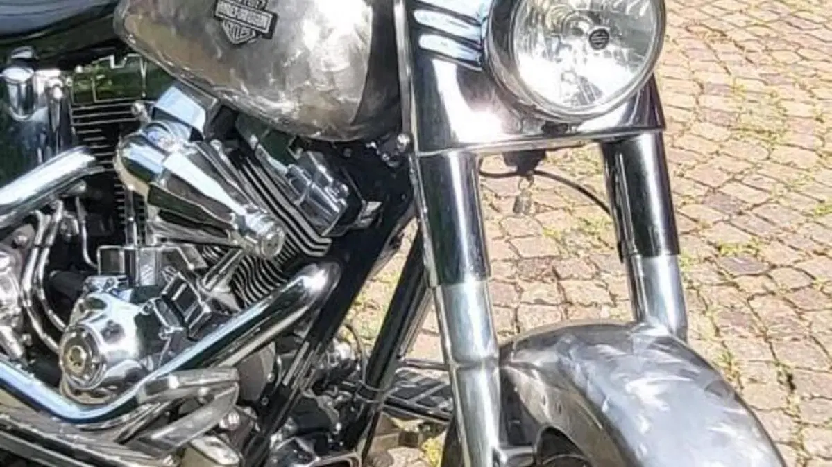 Harley-Davidson 1584 Fat Boy (2006 - 07) - FLSTF  (4)