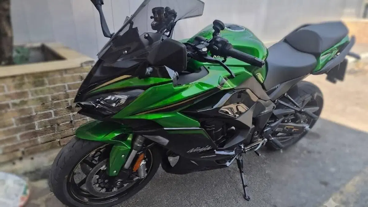 Kawasaki Ninja 1100 SX SE Tourer (2025 - 26)  (3)