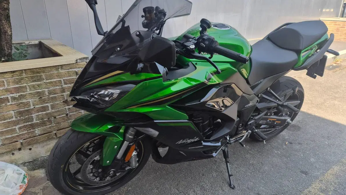 Kawasaki Ninja 1100 SX SE Tourer (2025 - 26)  (13)