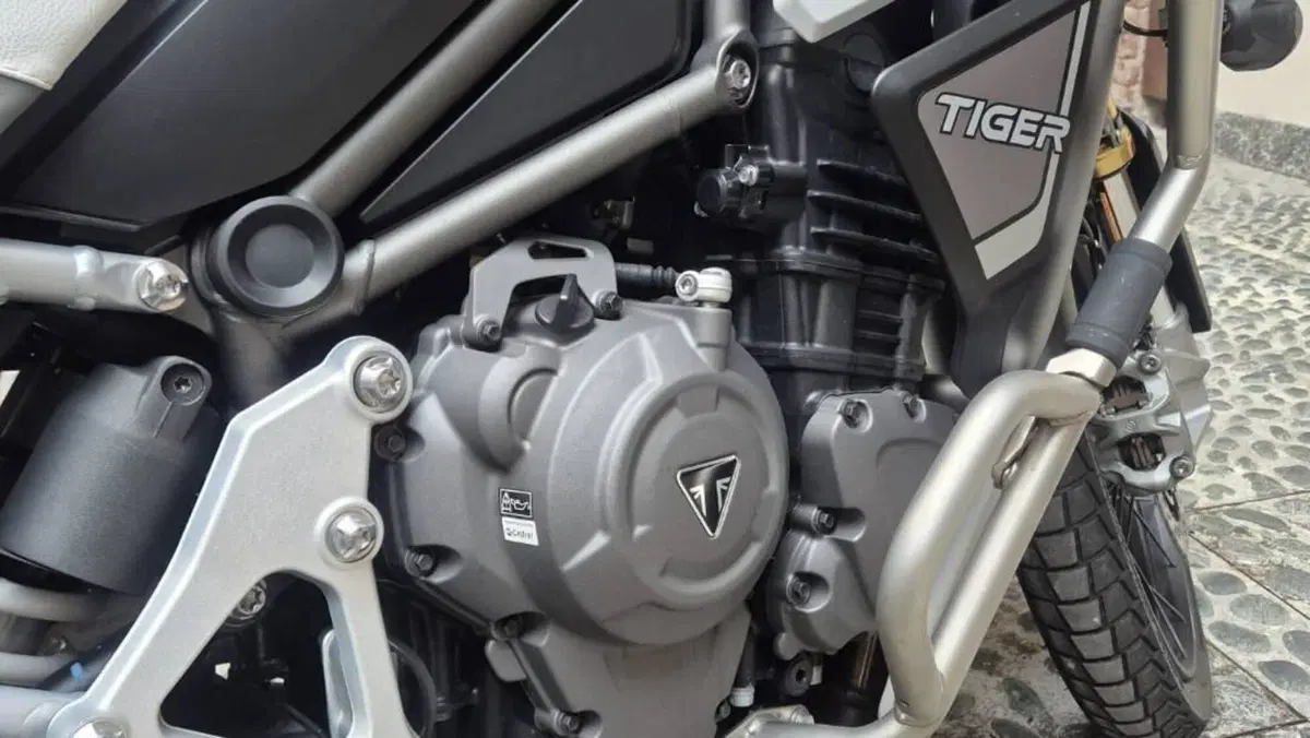 Triumph Tiger 1200 Rally Explorer (2024 - 26)  (9)