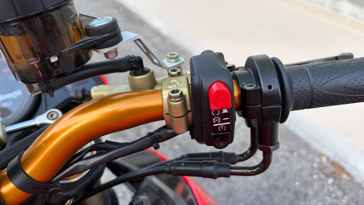 Benelli Tornado Naked Tre 899 (2010 - 16)  (15)