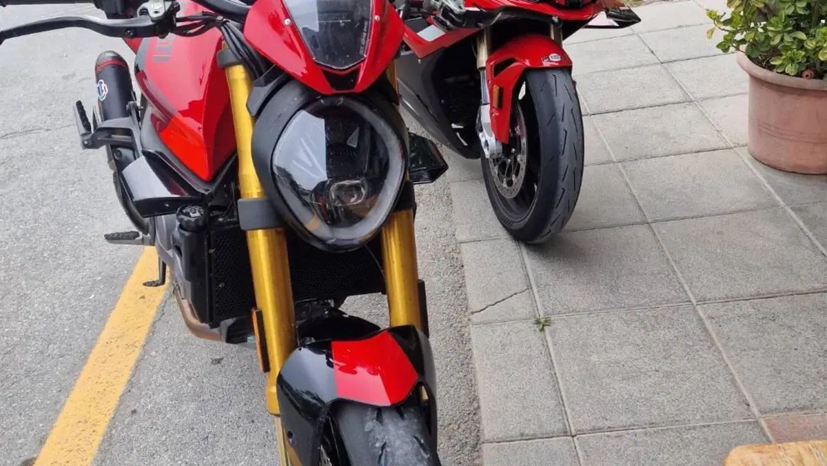 Ducati Monster 937 SP (2023 - 25)  (6)