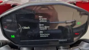 Ducati Monster 937 SP (2023 - 25)  (7)