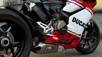 Ducati 1299 Panigale (2015 - 17) usata