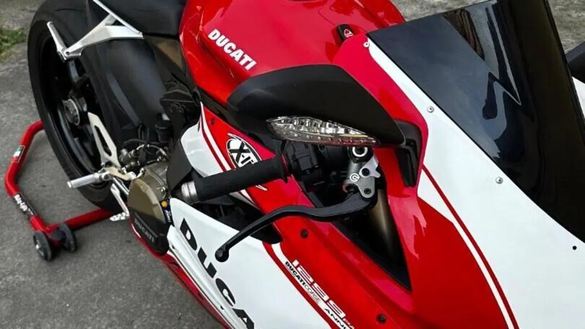 Ducati 1299 Panigale (2015 - 17)  (4)