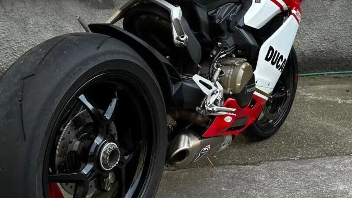 Ducati 1299 Panigale (2015 - 17)  (7)