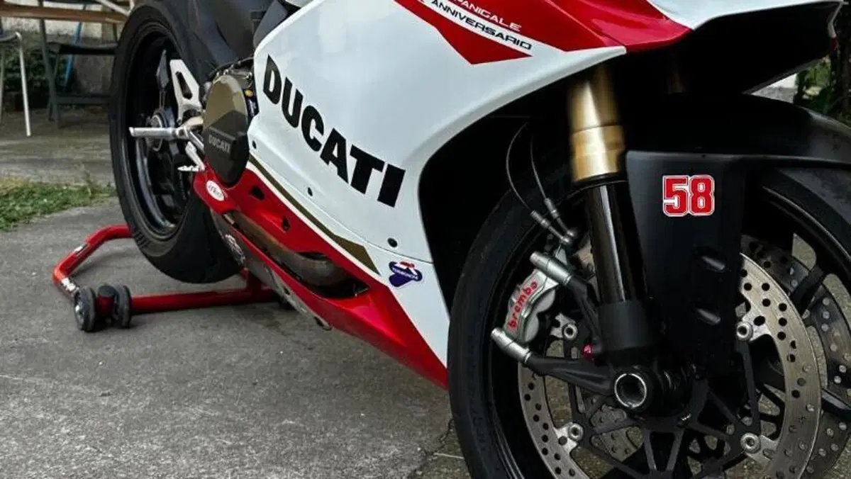 Ducati 1299 Panigale (2015 - 17)  (10)