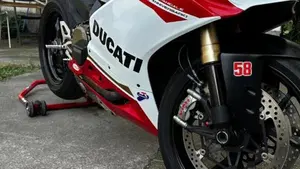 Ducati 1299 Panigale (2015 - 17)  (10)