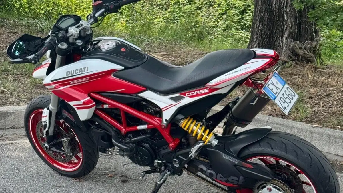 Ducati Hypermotard 939 (2016 - 18)  (3)