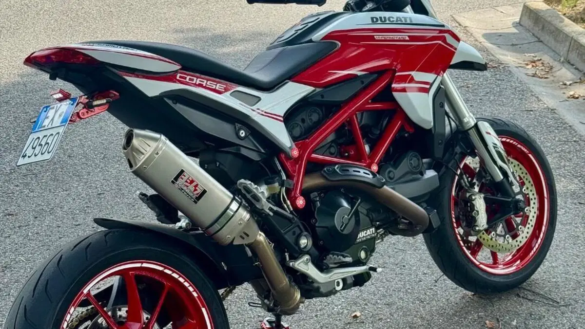 Ducati Hypermotard 939 (2016 - 18)  (4)