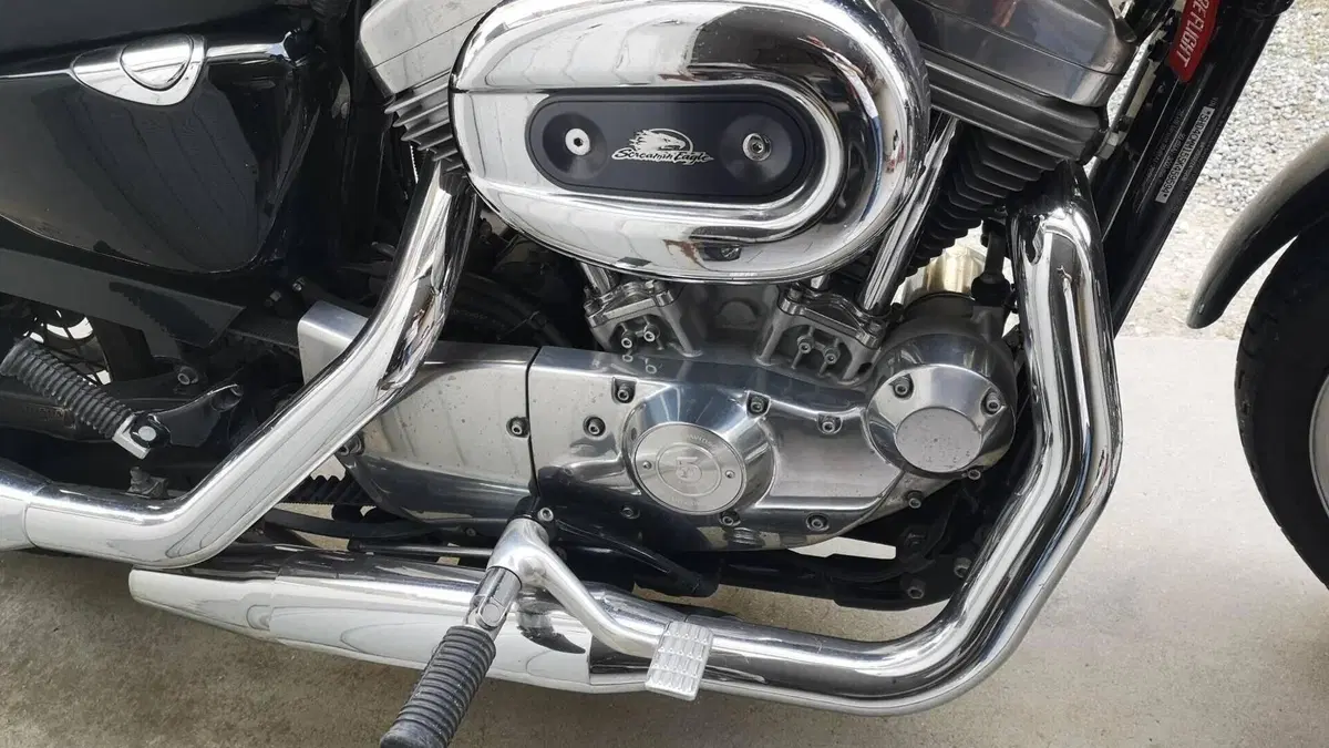 Harley-Davidson 883 Low (2005) - XL 883L  (2)