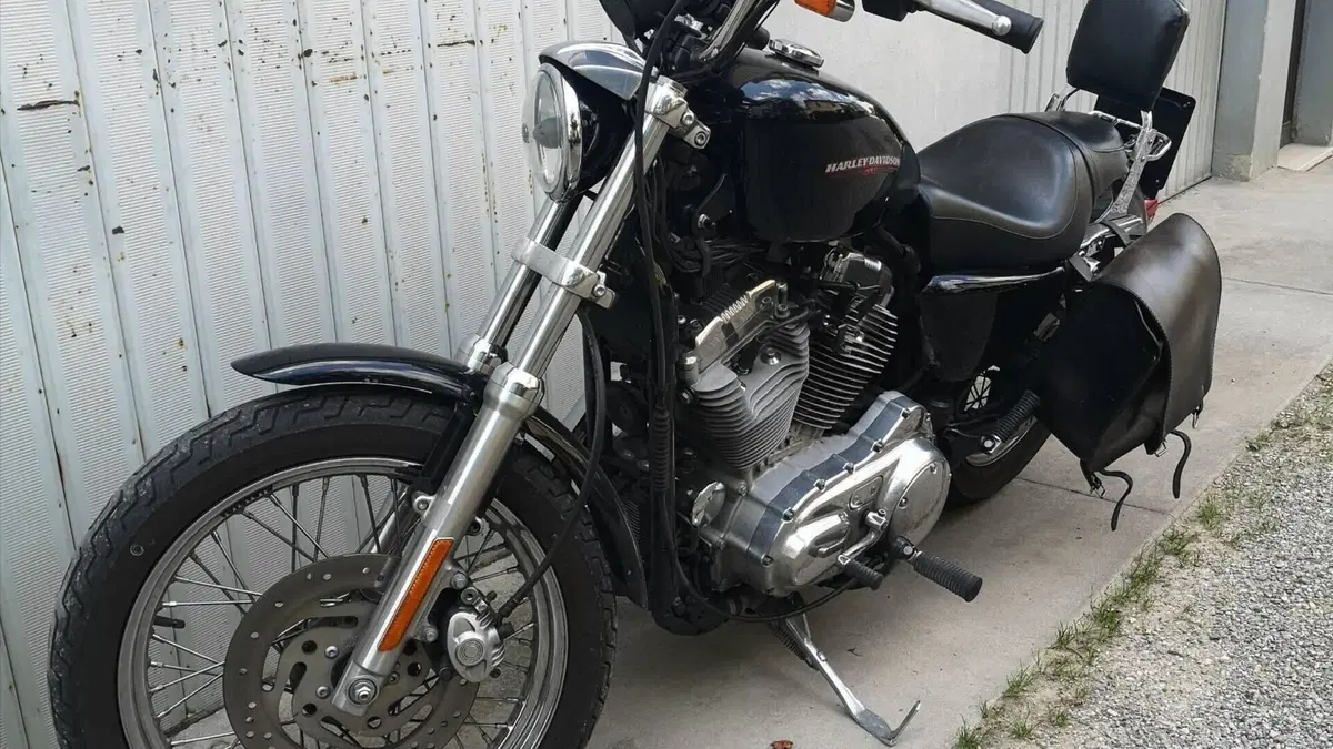 Harley-Davidson 883 Low (2005) - XL 883L  (3)