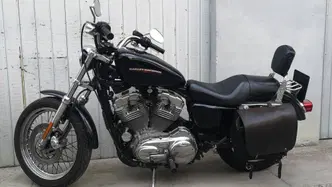 Harley-Davidson 883 Low (2005) - XL 883L usata