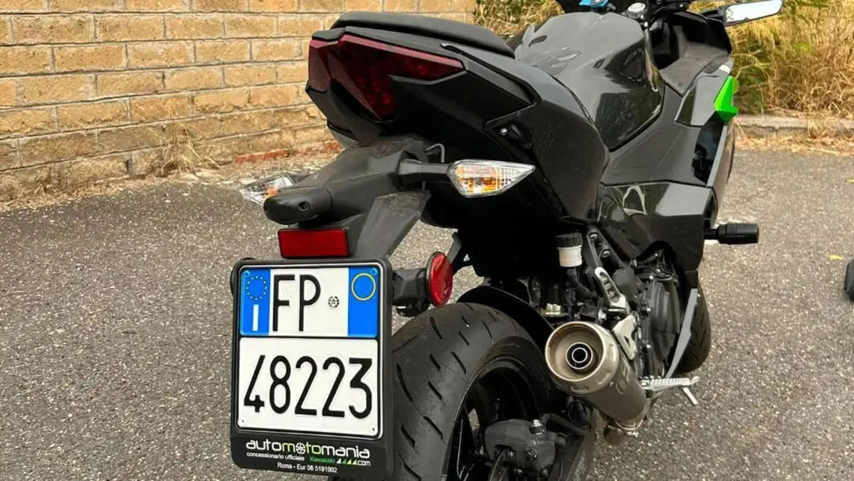 Kawasaki Ninja 500 (2024 - 26)  (3)