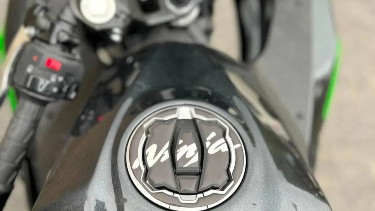 Kawasaki Ninja 500 (2024 - 26)  (5)