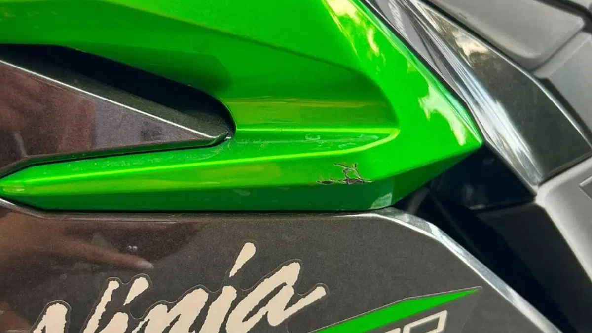 Kawasaki Ninja 500 (2024 - 26)  (6)