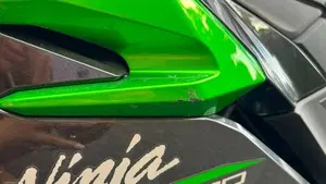 Kawasaki Ninja 500 (2024 - 26)  (6)