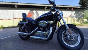 Harley-Davidson 1200 Custom (2007 - 13) - XL 1200C  (4)
