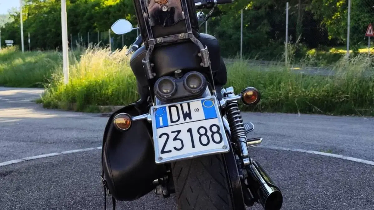 Harley-Davidson 1200 Custom (2007 - 13) - XL 1200C  (6)
