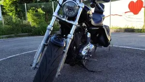 Harley-Davidson 1200 Custom (2007 - 13) - XL 1200C  (2)