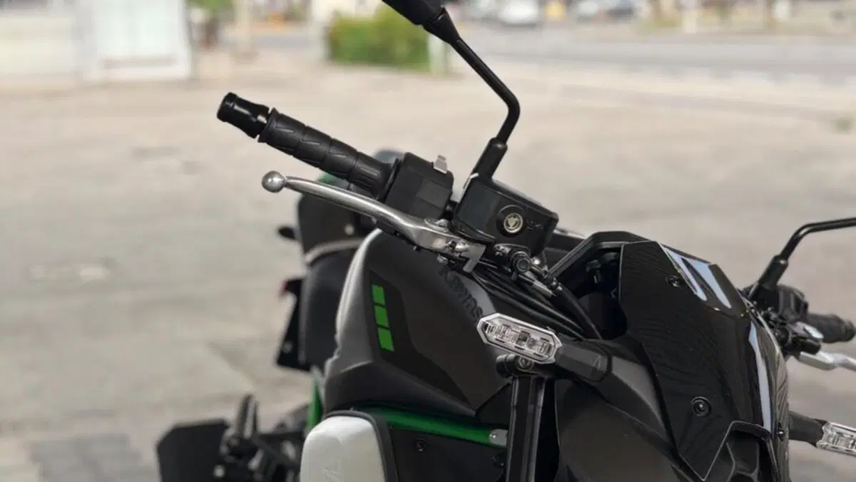 Kawasaki Z 900 (2025 - 26)  (2)