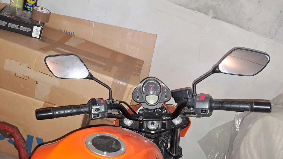 Kawasaki ER-6N (2006 - 09)  (3)