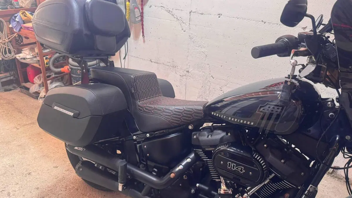 Harley-Davidson Street Bob 114 (2021 - 24)  (4)