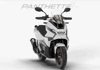 Phelon & Moore Motors Phantette X 300 (2025 - 26) - Annuncio 10082436