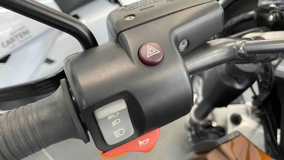 Bmw R 1150 GS (1999 - 03)  (9)