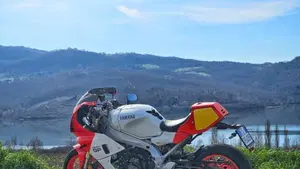 Yamaha XSR 900 GP (2024 - 26)  (2)