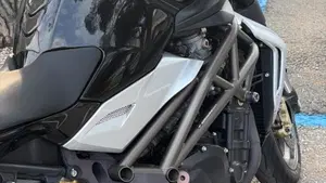 MV Agusta Brutale 990 R (2009 - 12)  (2)
