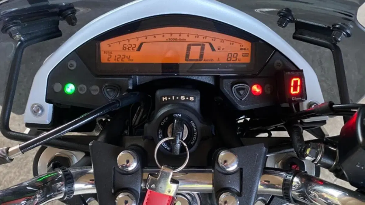 Honda Hornet 600 (2011 - 13)  (2)