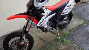 Betamotor RR 525 4T Enduro (2008)  (3)
