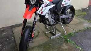 Betamotor RR 525 4T Enduro (2008)  (6)