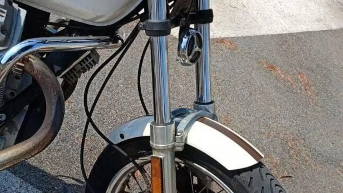 Moto Guzzi Nevada 750 (1992 - 02)  (14)